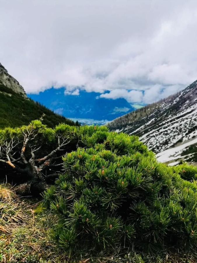 Apart Waldesruh Arzl im Pitztal Exterior photo